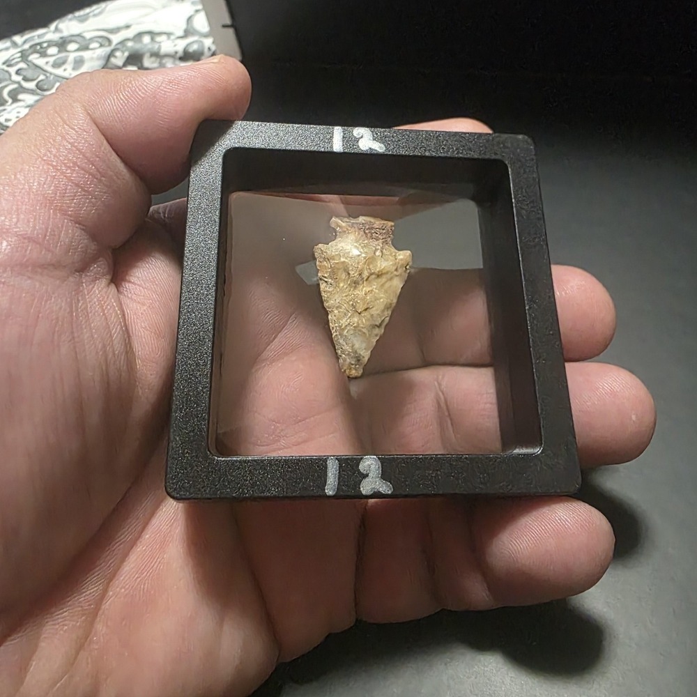 Lithic Stone Dart Point Mexico Chert Quartz Projectile Point Decorative Display